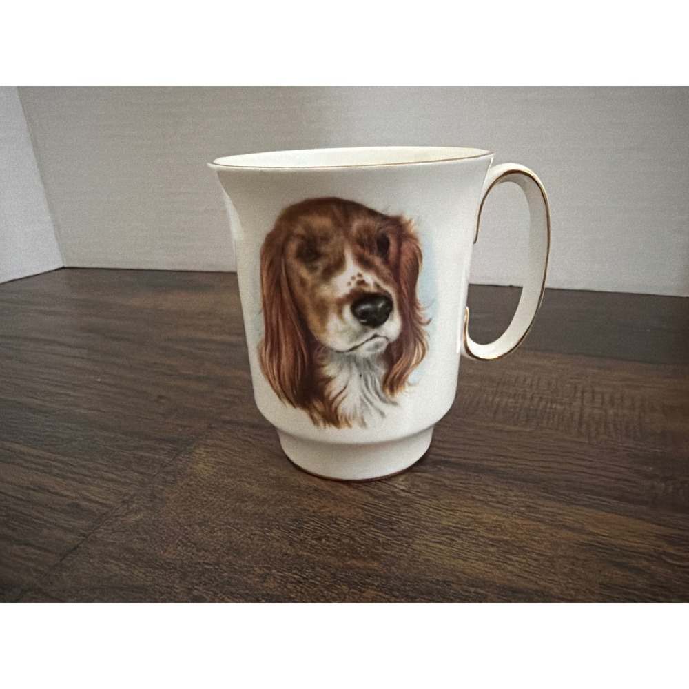 Royal Windsor Springer Spaniel Dog Mug Fine Bone China Gold Trim‎ England #2120